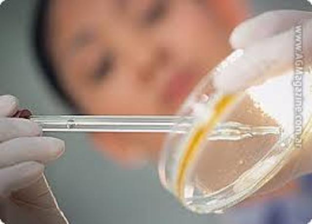 terapias efectivas antimicrobianas