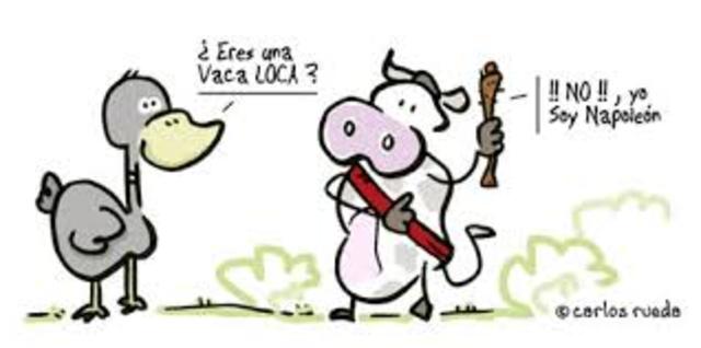 “vacas locas”