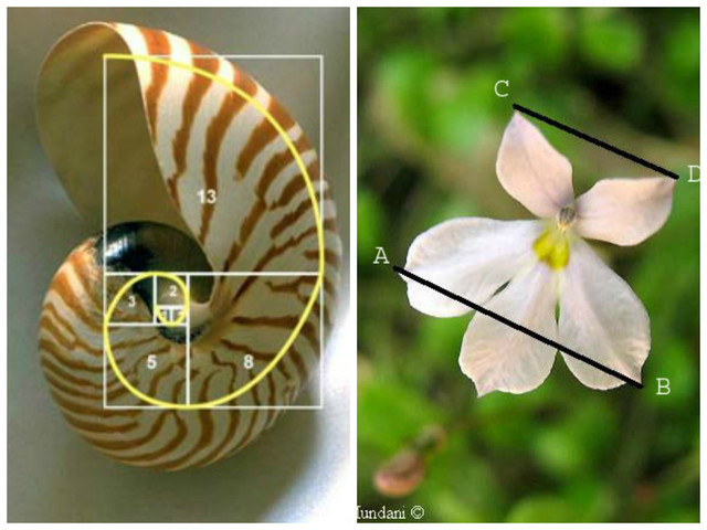 origen de las matematicas