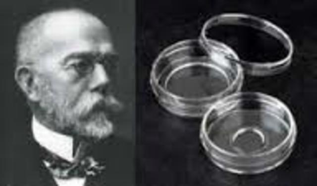 Introduce  el uso de las placas petri