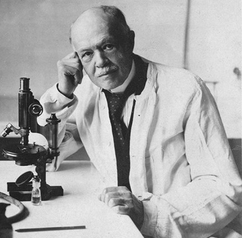 fiebre de las Montañas Rocosas es transmitida por garrapatas,