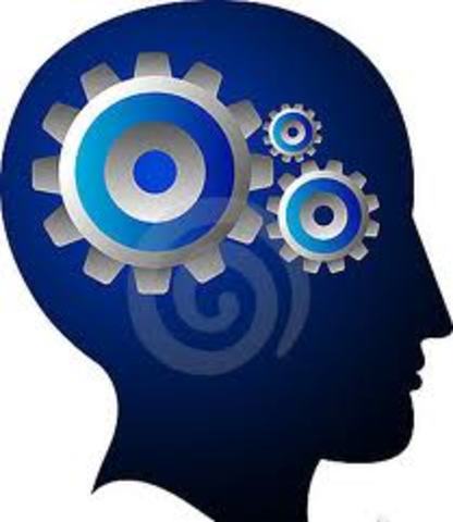 Psicologia. Insistiendo en el camino