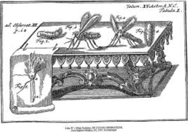 se destruye la teoria de la generacion espontanea mediante el experimento redi