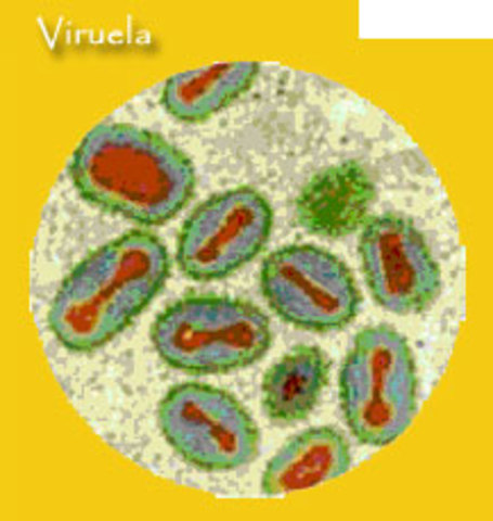 viruela humana