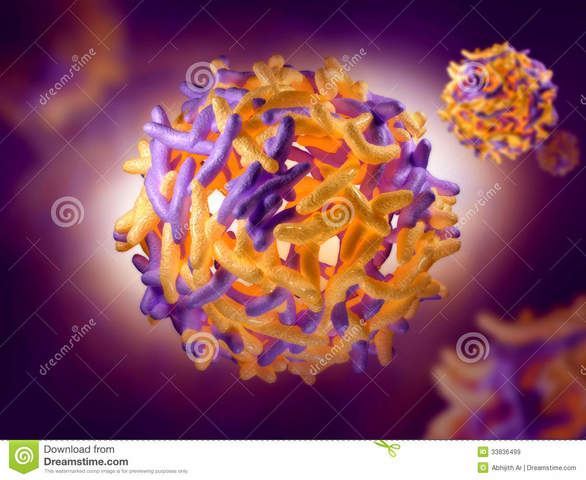fiebre amarilla es transmitida por mosquitos