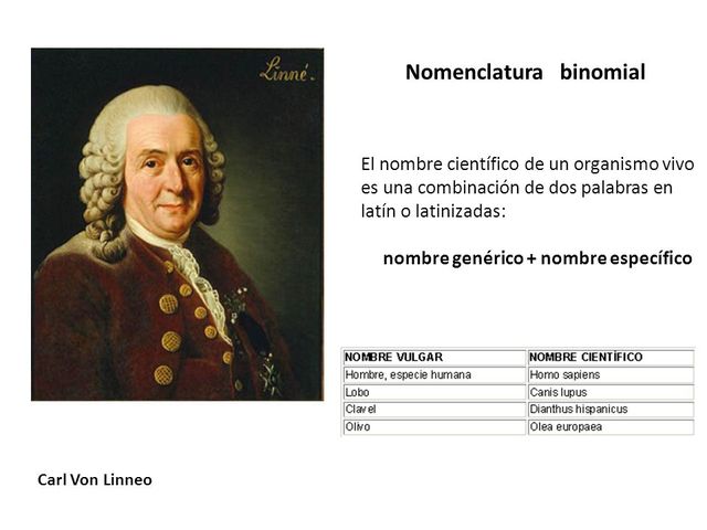 Carolus Linnaeus establecio la nomenclatura para los microorganismos