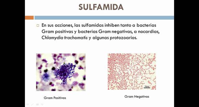 Primer agente quimioterapéutico