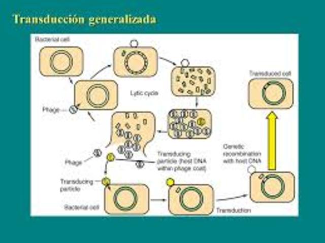 Transducción Generalizada