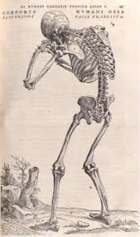 Andres Vesalio