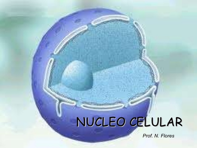 El Nucleo Celular