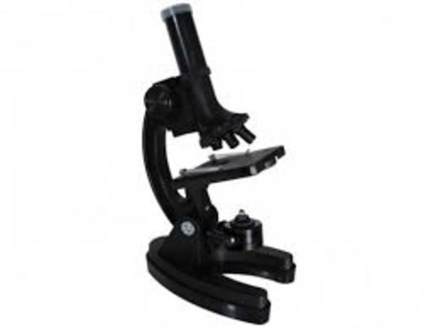 EL MICROSCOPIO ELECTRONICO