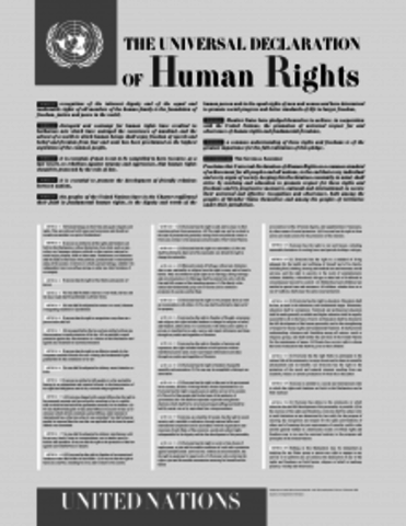 Declaración Universal de Derechos Humanos