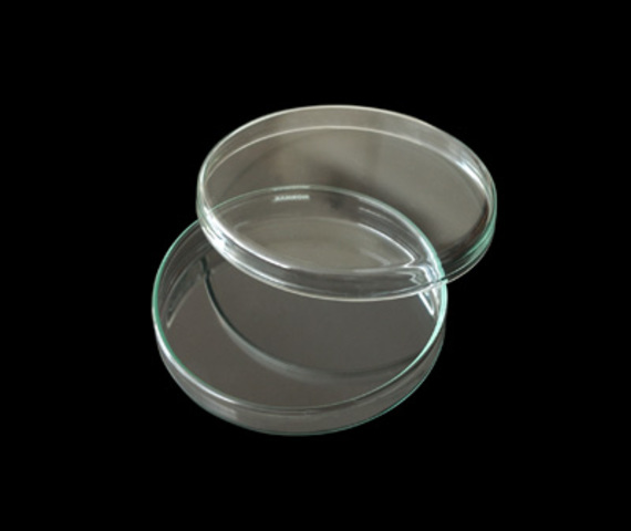 APARICIÓN DE LAS CAJAS DE PETRI