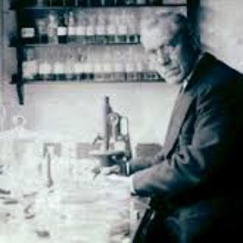 Martius Willem Beijerinck