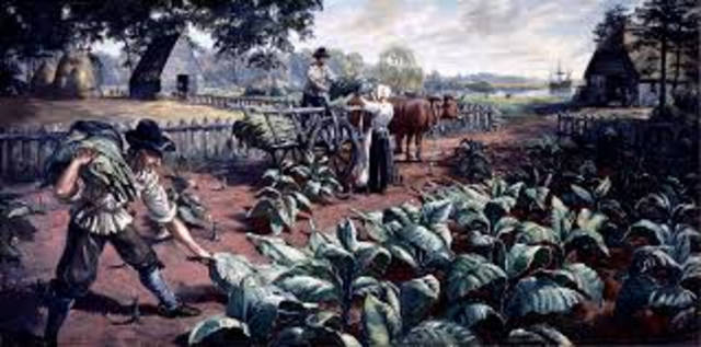 However, until the introduction of tobacco as a cash crop about 1613.