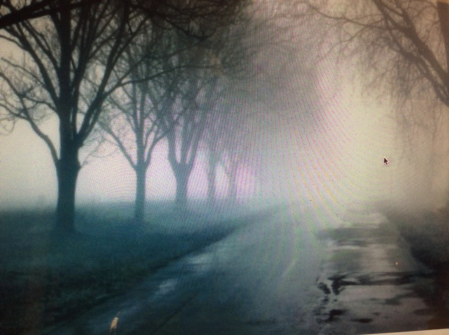 Types of Precipitation: Drizzle