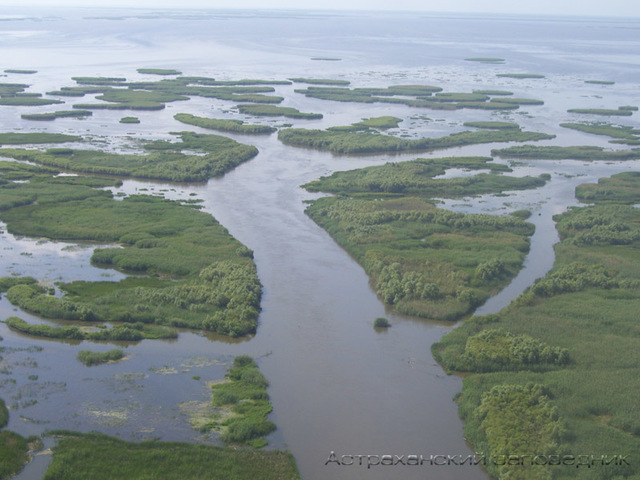 приказал организовать противоминную оборону