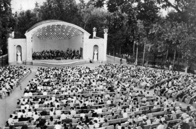 выступил с докладом