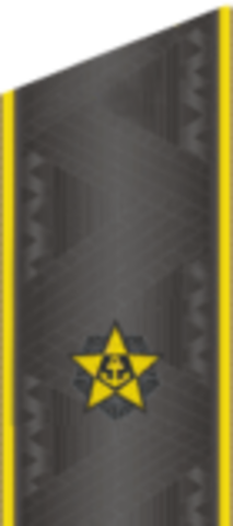 понижен в воинском звании