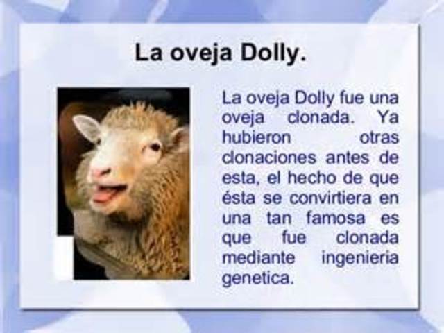 LA OVEJA DOLLY