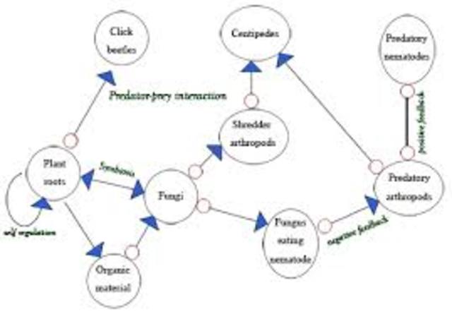 Quantitative Management