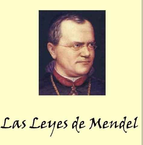 LAS LEYES DE MENDEL