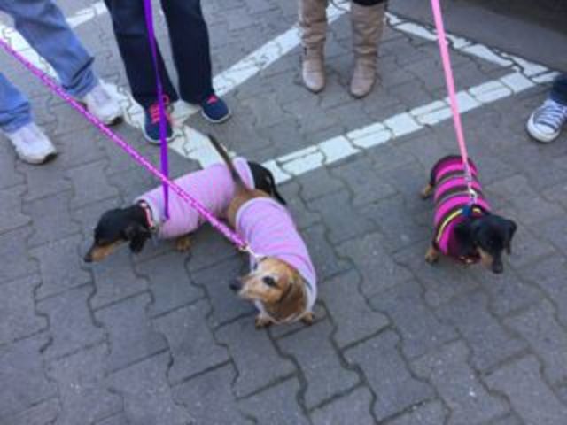 Google docs training