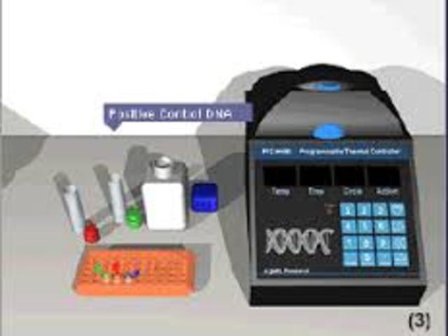 maquinas automaticas