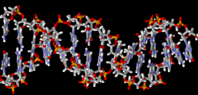 ESTRUCTURA DE DOBLE HELICE DEL ADN