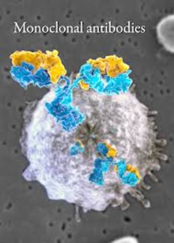 Aanticuerpo Monoclonal