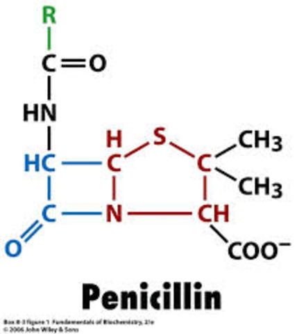 Penicilina