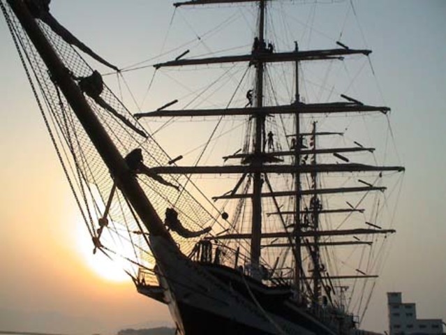 На мысе Доброй Надежды