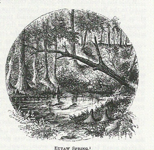 The Battle of Eutaw Springs