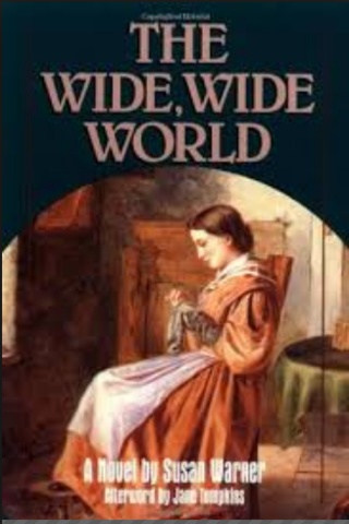 First Domestic Novel