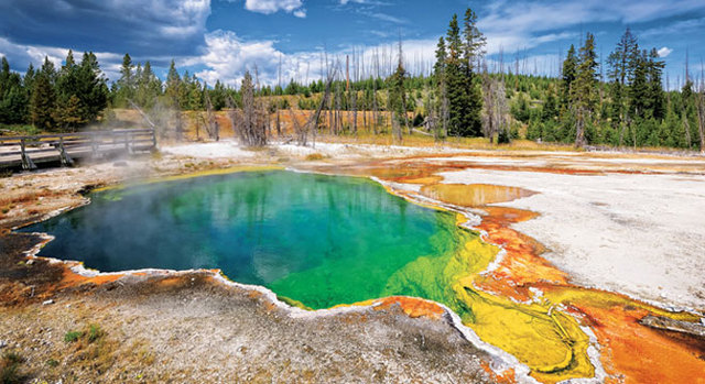 Creación del primer parque nacional y del mundo: "el yellowstone"
