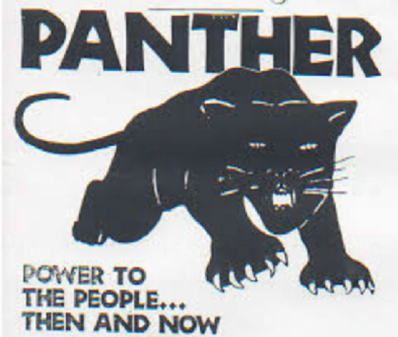 Black Panthers Founded