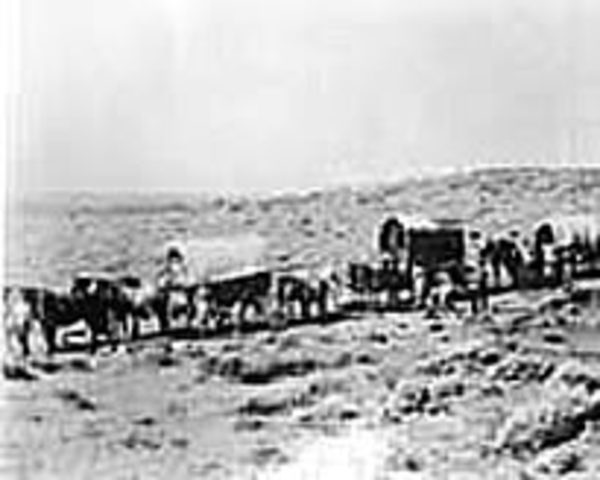 Arrival of the Settlers