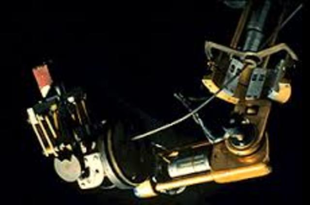 desarrollo de industrias japonesas