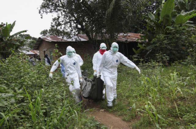 WHO Declares Outbreak a Global Health Emergency