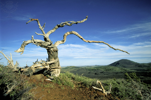 Great Basin National Park