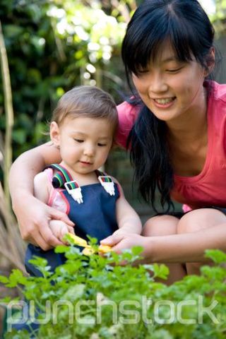 13 - 15 months Physical development