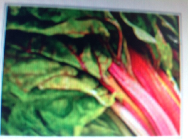 Fact Two About My Swiss Chard