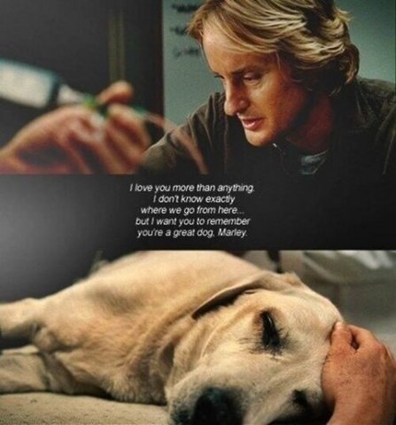 Marley and Me