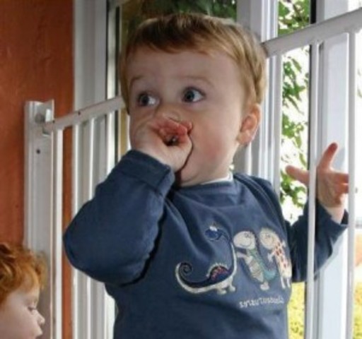 16-18 months Intellectual