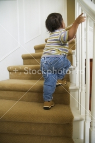 19-21 months Intellectual