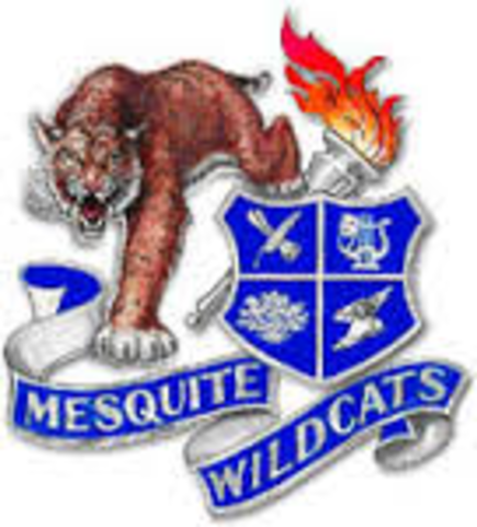 Mesquite high school
