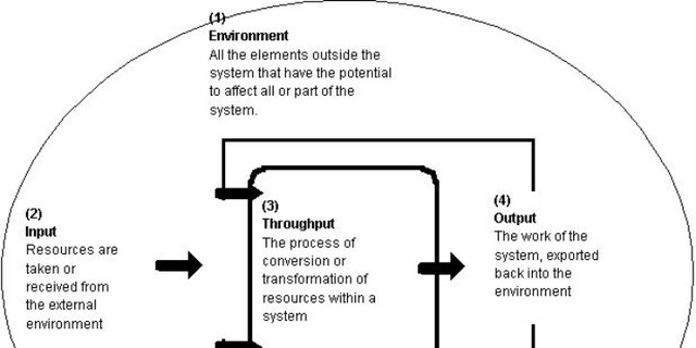 The Open- Systems View