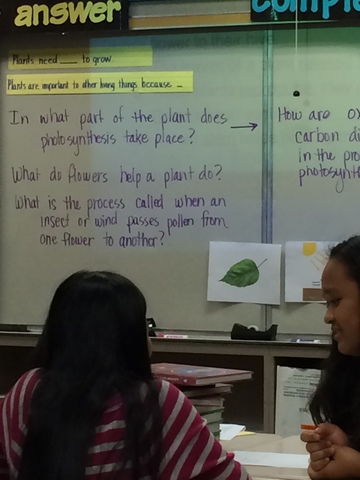 Students are placed in 50 minutes classes by curricular and grade level