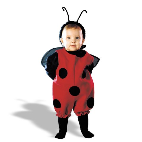 30-36 Months Intellectual