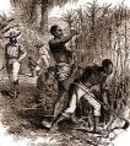 Thirteenth Amendment ratified in US